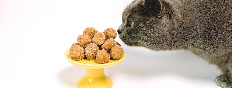 Предимства и недостатъци на сухата храна за котки